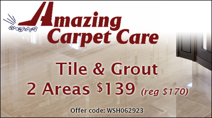 Tile & Grout Special