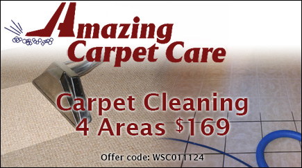 Capet Cleaning Special
